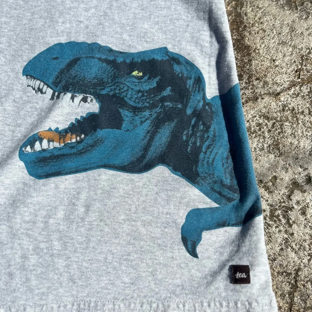 Tea Collection Double Sided Dinosaur T-Rex 12